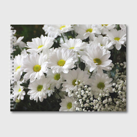 Альбом для рисования с принтом Белоснежное цветение в Курске, 100% бумага
 | матовая бумага, плотность 200 мг. | Тематика изображения на принте: ландыши | лепестки | прикольные картинки | ромашки | цветочки | цветы