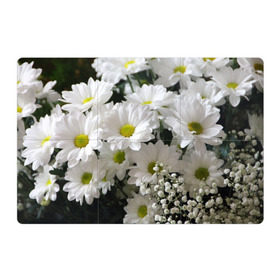 Магнитный плакат 3Х2 с принтом Белоснежное цветение в Курске, Полимерный материал с магнитным слоем | 6 деталей размером 9*9 см | ландыши | лепестки | прикольные картинки | ромашки | цветочки | цветы
