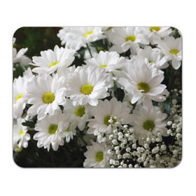 Коврик прямоугольный с принтом Белоснежное цветение в Курске, натуральный каучук | размер 230 х 185 мм; запечатка лицевой стороны | ландыши | лепестки | прикольные картинки | ромашки | цветочки | цветы