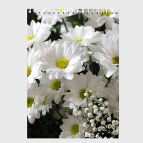 Скетчбук с принтом Белоснежное цветение в Курске, 100% бумага
 | 48 листов, плотность листов — 100 г/м2, плотность картонной обложки — 250 г/м2. Листы скреплены сверху удобной пружинной спиралью | Тематика изображения на принте: ландыши | лепестки | прикольные картинки | ромашки | цветочки | цветы