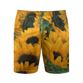 Мужские шорты 3D спортивные с принтом Подсолнухи в Курске,  |  | желтый | зеленый | лето | подсолнухи | цветы | черный