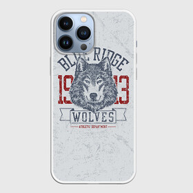 Чехол для iPhone 13 Pro Max с принтом Team t shirt в Курске,  |  | american football | baseball | fashion | football | sport | sport league | style | team | west | американский футбол | бейсбол | запад | команды | мода | надписи | спорт | спортивные лиги | стиль | футбол | футбольные лиги