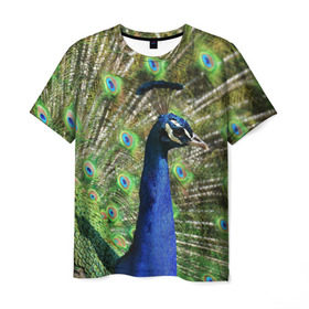 Мужская футболка 3D с принтом Павлин в Курске, 100% полиэфир | прямой крой, круглый вырез горловины, длина до линии бедер | Тематика изображения на принте: животные | павлин | перо | перышки | природа | птица