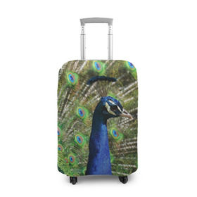 Чехол для чемодана 3D с принтом Павлин в Курске, 86% полиэфир, 14% спандекс | двустороннее нанесение принта, прорези для ручек и колес | животные | павлин | перо | перышки | природа | птица