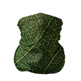 Бандана-труба 3D с принтом Листик в Курске, 100% полиэстер, ткань с особыми свойствами — Activecool | плотность 150‒180 г/м2; хорошо тянется, но сохраняет форму | Тематика изображения на принте: дерево | зеленый | зелень | лист | природа | растения