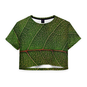Женская футболка 3D укороченная с принтом Листик в Курске, 100% полиэстер | круглая горловина, длина футболки до линии талии, рукава с отворотами | Тематика изображения на принте: дерево | зеленый | зелень | лист | природа | растения