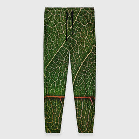 Женские брюки 3D с принтом Листик в Курске, полиэстер 100% | прямой крой, два кармана без застежек по бокам, с мягкой трикотажной резинкой на поясе и по низу штанин. В поясе для дополнительного комфорта — широкие завязки | Тематика изображения на принте: дерево | зеленый | зелень | лист | природа | растения