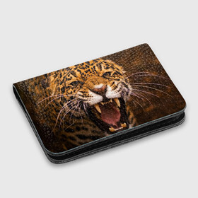 Картхолдер с принтом с принтом Леопард в Курске, натуральная матовая кожа | размер 7,3 х 10 см; кардхолдер имеет 4 кармана для карт; | дикая кошка | клыки | леопард | оскал | хищник