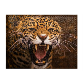 Обложка для студенческого билета с принтом Леопард в Курске, натуральная кожа | Размер: 11*8 см; Печать на всей внешней стороне | дикая кошка | клыки | леопард | оскал | хищник