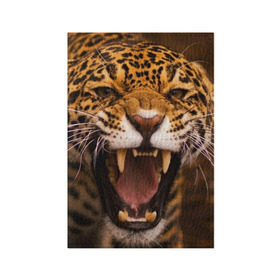 Обложка для паспорта матовая кожа с принтом Леопард в Курске, натуральная матовая кожа | размер 19,3 х 13,7 см; прозрачные пластиковые крепления | дикая кошка | клыки | леопард | оскал | хищник