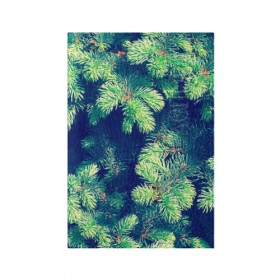 Обложка для паспорта матовая кожа с принтом Ёлочка в Курске, натуральная матовая кожа | размер 19,3 х 13,7 см; прозрачные пластиковые крепления | Тематика изображения на принте: елка | ель | зеленый | пихтовые | природа | свежесть | хвоя