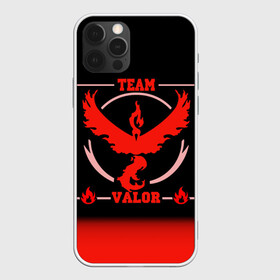 Чехол для iPhone 12 Pro с принтом Team Valor в Курске, силикон | область печати: задняя сторона чехла, без боковых панелей | Тематика изображения на принте: go | pokemon | team | valor | покемон