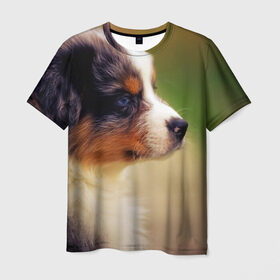 Мужская футболка 3D с принтом Aussi в Курске, 100% полиэфир | прямой крой, круглый вырез горловины, длина до линии бедер | австралийская овчарка | животные | пёс | собака | щенок