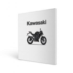 Холст квадратный с принтом Kawasaky в Курске, 100% ПВХ |  | Тематика изображения на принте: kawasaky