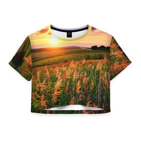 Женская футболка 3D укороченная с принтом Родные просторы в Курске, 100% полиэстер | круглая горловина, длина футболки до линии талии, рукава с отворотами | sunrise | sunset | восход | деревня | закат | луг | небо | облака | поле | природа | солнце | цветы