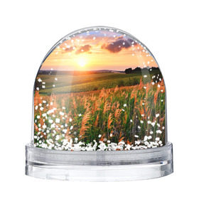 Снежный шар с принтом Родные просторы в Курске, Пластик | Изображение внутри шара печатается на глянцевой фотобумаге с двух сторон | sunrise | sunset | восход | деревня | закат | луг | небо | облака | поле | природа | солнце | цветы