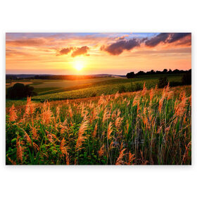 Поздравительная открытка с принтом Родные просторы в Курске, 100% бумага | плотность бумаги 280 г/м2, матовая, на обратной стороне линовка и место для марки
 | sunrise | sunset | восход | деревня | закат | луг | небо | облака | поле | природа | солнце | цветы