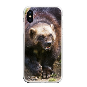 Чехол для iPhone XS Max матовый с принтом Росомаха в Курске, Силикон | Область печати: задняя сторона чехла, без боковых панелей | животные | лес | медведи | охота | природа | туризм