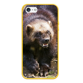 Чехол для iPhone 5/5S матовый с принтом Росомаха в Курске, Силикон | Область печати: задняя сторона чехла, без боковых панелей | животные | лес | медведи | охота | природа | туризм