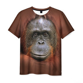 Мужская футболка 3D с принтом Обезьяна в Курске, 100% полиэфир | прямой крой, круглый вырез горловины, длина до линии бедер | животные | о.м.с.к. | обезьяна | орангутанг