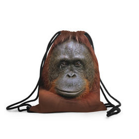 Рюкзак-мешок 3D с принтом Обезьяна в Курске, 100% полиэстер | плотность ткани — 200 г/м2, размер — 35 х 45 см; лямки — толстые шнурки, застежка на шнуровке, без карманов и подкладки | животные | о.м.с.к. | обезьяна | орангутанг