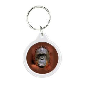 Брелок круглый с принтом Обезьяна в Курске, пластик и полированная сталь | круглая форма, металлическое крепление в виде кольца | животные | о.м.с.к. | обезьяна | орангутанг
