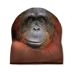 Шапка 3D с принтом Обезьяна в Курске, 100% полиэстер | универсальный размер, печать по всей поверхности изделия | животные | о.м.с.к. | обезьяна | орангутанг