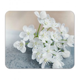 Коврик прямоугольный с принтом Белые цветочки 3 в Курске, натуральный каучук | размер 230 х 185 мм; запечатка лицевой стороны | белый | цветок | цветы