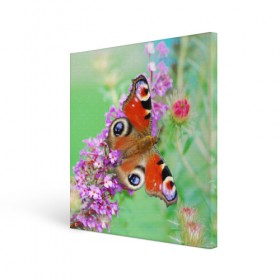 Холст квадратный с принтом Прелесть в Курске, 100% ПВХ |  | бабочка | лепестки | прикольные картинки | природа | цветочки | цветы
