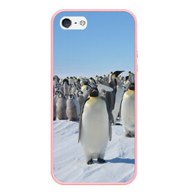 Чехол для iPhone 5/5S матовый с принтом Пингвины в Курске, Силикон | Область печати: задняя сторона чехла, без боковых панелей | пингвин