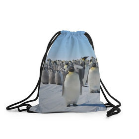 Рюкзак-мешок 3D с принтом Пингвины в Курске, 100% полиэстер | плотность ткани — 200 г/м2, размер — 35 х 45 см; лямки — толстые шнурки, застежка на шнуровке, без карманов и подкладки | пингвин