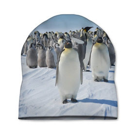 Шапка 3D с принтом Пингвины в Курске, 100% полиэстер | универсальный размер, печать по всей поверхности изделия | пингвин