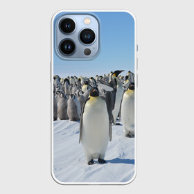 Чехол для iPhone 13 Pro с принтом Пингвины в Курске,  |  | пингвин