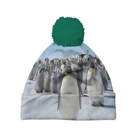 Шапка 3D c помпоном с принтом Пингвины в Курске, 100% полиэстер | универсальный размер, печать по всей поверхности изделия | пингвин