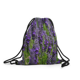 Рюкзак-мешок 3D с принтом Лаванда в Курске, 100% полиэстер | плотность ткани — 200 г/м2, размер — 35 х 45 см; лямки — толстые шнурки, застежка на шнуровке, без карманов и подкладки | зеленый | зелень | лаванда | лето | поле | природа | синий | цветы