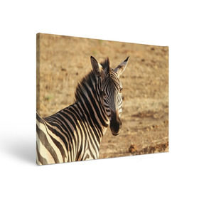 Холст прямоугольный с принтом Зебра в Курске, 100% ПВХ |  | африка | голова животного | зебра | лошадь | природа
