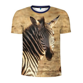 Мужская футболка 3D спортивная с принтом Зебра в Курске, 100% полиэстер с улучшенными характеристиками | приталенный силуэт, круглая горловина, широкие плечи, сужается к линии бедра | африка | голова животного | зебра | лошадь | природа