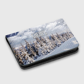 Картхолдер с принтом с принтом Сибирь в Курске, натуральная матовая кожа | размер 7,3 х 10 см; кардхолдер имеет 4 кармана для карт; | ель | лес | небо | облака | природа | снег | сосна | сугробы | тайга | хвоя