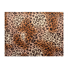 Обложка для студенческого билета с принтом Леопардовая шкура в Курске, натуральная кожа | Размер: 11*8 см; Печать на всей внешней стороне | гепард | гламур | леопард | мода | роскошь | шерсть