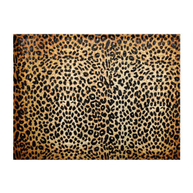 Обложка для студенческого билета с принтом Гепард (шкура) в Курске, натуральная кожа | Размер: 11*8 см; Печать на всей внешней стороне | гепард | гламур | леопард | мода | пятна | роскошь | ткань | точки | шерсть