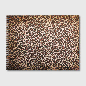 Альбом для рисования с принтом Шкура гепарда в Курске, 100% бумага
 | матовая бумага, плотность 200 мг. | Тематика изображения на принте: гепард | гламур | леопард | мода | пятна | роскошь | ткань | точки | шерсть