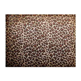Обложка для студенческого билета с принтом Шкура гепарда в Курске, натуральная кожа | Размер: 11*8 см; Печать на всей внешней стороне | гепард | гламур | леопард | мода | пятна | роскошь | ткань | точки | шерсть