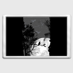 Магнит 45*70 с принтом Черный ворон в Курске, Пластик | Размер: 78*52 мм; Размер печати: 70*45 | Тематика изображения на принте: ворон | луна | новинки | ночь | полнолуние | природа | птица