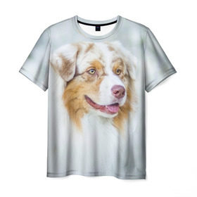 Мужская футболка 3D с принтом Австралийская овчарка в Курске, 100% полиэфир | прямой крой, круглый вырез горловины, длина до линии бедер | австралийская овчарка | животные | природа | собака | щенок