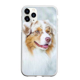 Чехол для iPhone 11 Pro Max матовый с принтом Австралийская овчарка в Курске, Силикон |  | Тематика изображения на принте: австралийская овчарка | животные | природа | собака | щенок
