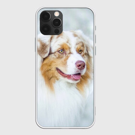 Чехол для iPhone 12 Pro Max с принтом Австралийская овчарка в Курске, Силикон |  | Тематика изображения на принте: австралийская овчарка | животные | природа | собака | щенок