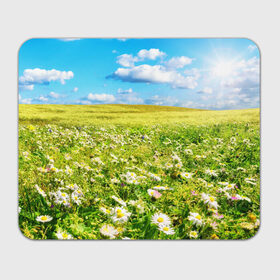 Коврик прямоугольный с принтом Ромашковый ковёр в Курске, натуральный каучук | размер 230 х 185 мм; запечатка лицевой стороны | Тематика изображения на принте: горизонт | зелень | небо | облака | поле | поляна | ромашки | солнце | цветы
