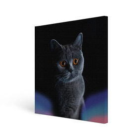 Холст квадратный с принтом Британец 1 в Курске, 100% ПВХ |  | Тематика изображения на принте: британец | британская | британцы | кот | котенок | котик | котэ | кошка