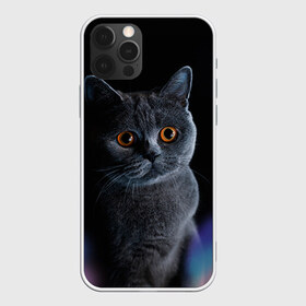 Чехол для iPhone 12 Pro Max с принтом Британец 1 в Курске, Силикон |  | британец | британская | британцы | кот | котенок | котик | котэ | кошка