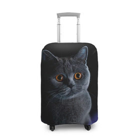 Чехол для чемодана 3D с принтом Британец 1 в Курске, 86% полиэфир, 14% спандекс | двустороннее нанесение принта, прорези для ручек и колес | британец | британская | британцы | кот | котенок | котик | котэ | кошка